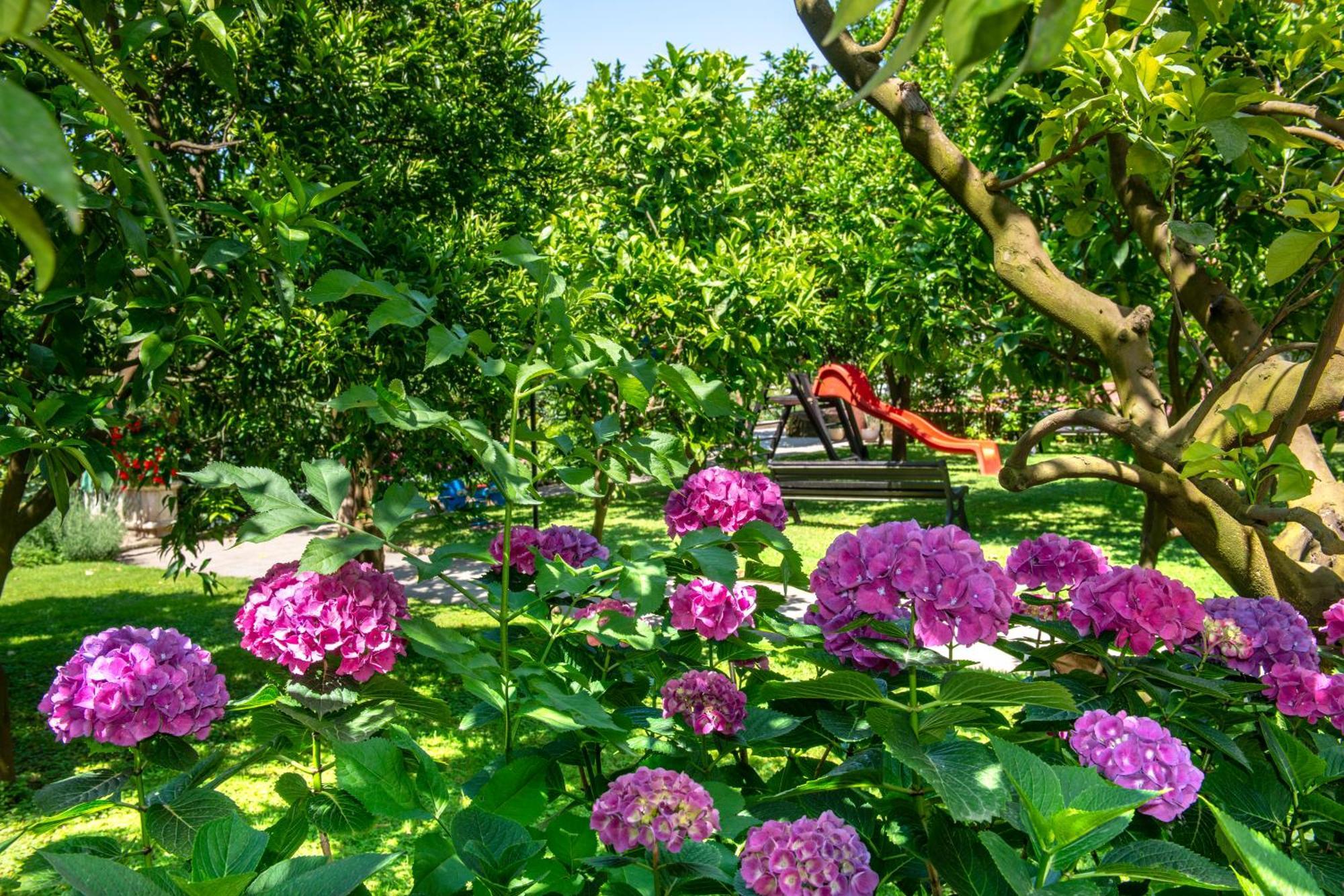 Hilton Sorrento Palace Bagian luar foto